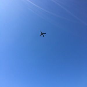 Meet your Posher, Riley